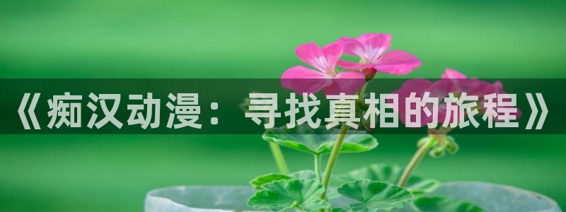 韩国漫画平台kakaopage
