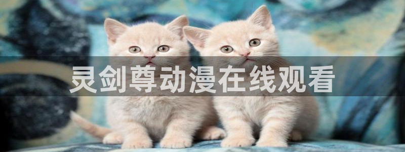 age动漫专注动漫的门户网站