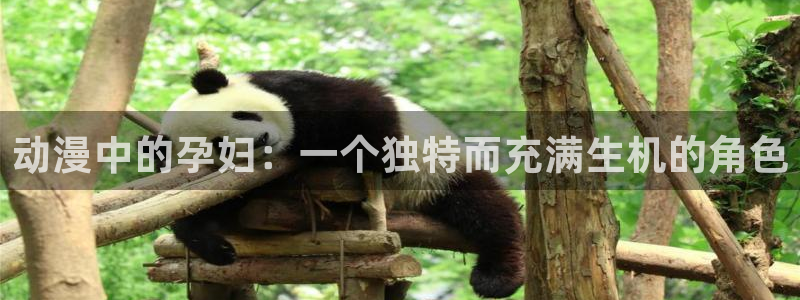 age动漫下载入口