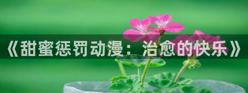 age专注动漫的门户网站
