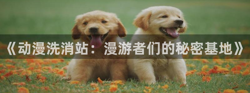age动漫网