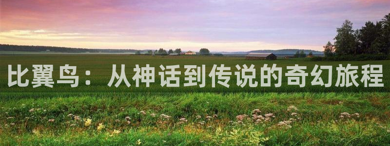 age动漫