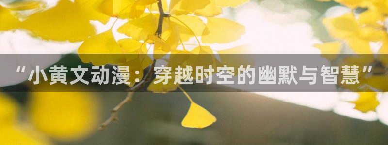 age专注动漫的门户网站