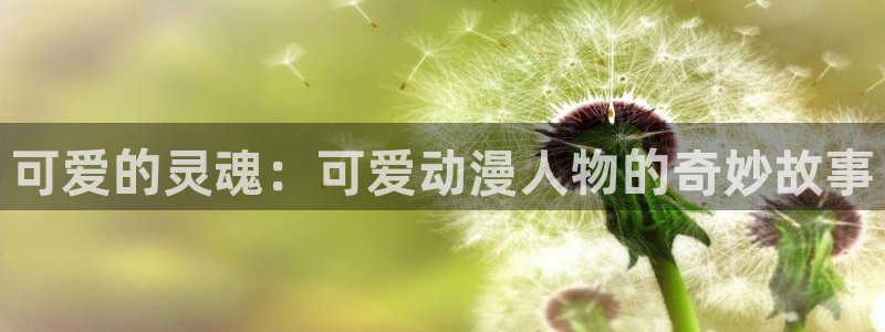 age动漫