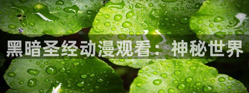 age动漫下载动漫全免费