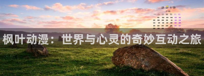 拷贝漫画 copymanager.ory网站