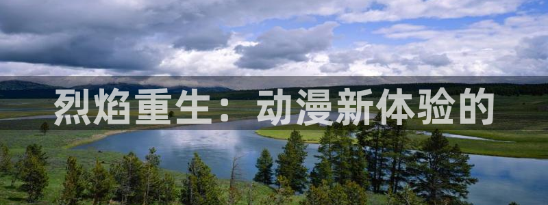 age动漫官网入口老版本