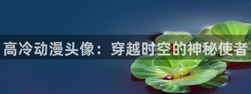 age动漫官网入口老版本