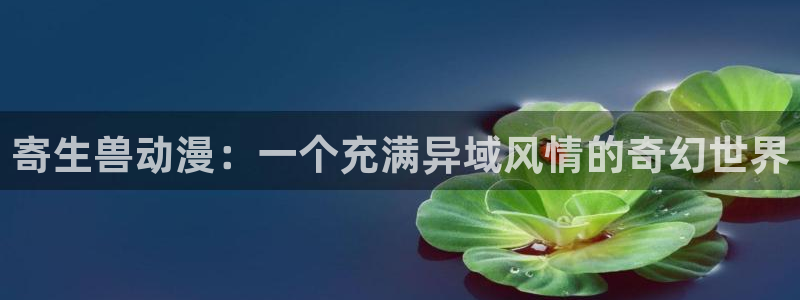 拷贝漫画 copymanager.ory网站