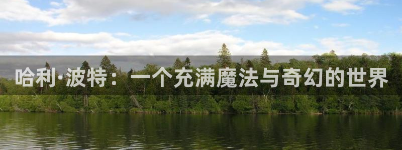 managereader漫画官网入口：哈利·波特：一个充满魔法与奇幻的世界