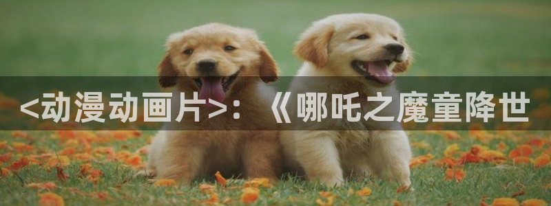 age动漫官网版入口