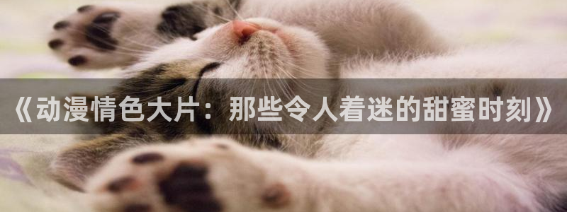 age动漫正版网