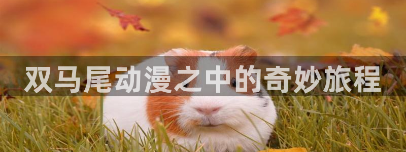 age动漫官网樱花动漫