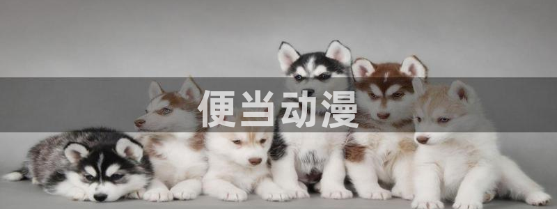age动漫下载入口