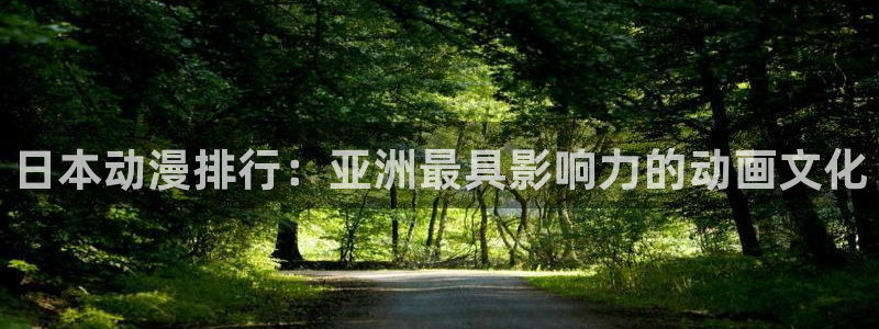 拷贝漫画 copymanager.ory网站