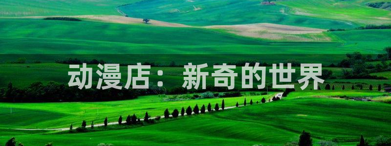 age动漫网