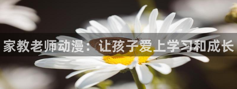 age动漫下载入口