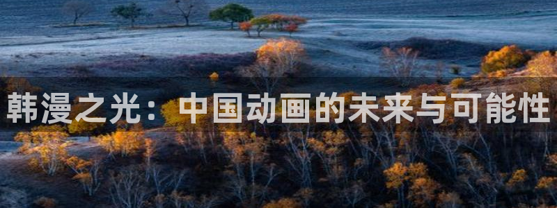 下载age动漫：韩漫之光：中国动画的未来与可能性